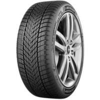  Winter 245/45-R19 102V